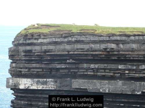 Around Downpatrick Head